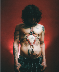 Cockstar963 Public Fotka 6