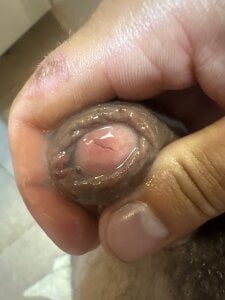 Gionnytav Sborrata Immagine 