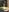 Alexis_Gordon Stitch and Alexis :D 사진 2