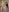 FridaKlein I just created the most 🔥 content for you, enjoy… Pic 5