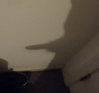 wilburydeznutz Public зображення 2