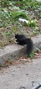 funtimesz4u Public Pic 6