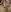 krysstal003 Naughty explicit pics(dildo in pussy, ass hole, doggy pose,blowjob,oiled naked body) Photo