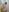 kate_picture_ shower naked fotos Pic 9