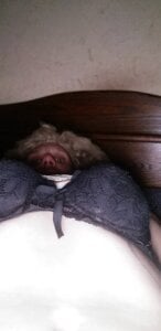 lola198803のPublicの 5枚の写真