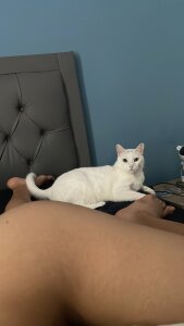 sofi_elfqueen My kitties 😻😻😻😻 Pic 6