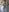 hot_momtobe Hot Tanga Pics🍌 Foto  3