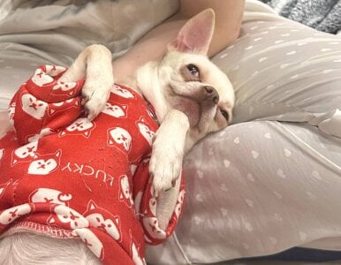 LaveraMeling The morning begins not with coffee, but with a smile in the mirror! Pic 2