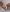 Fiery_rexy Naked and naughty Pic