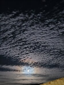 Playwithyournacho Public Pic 2