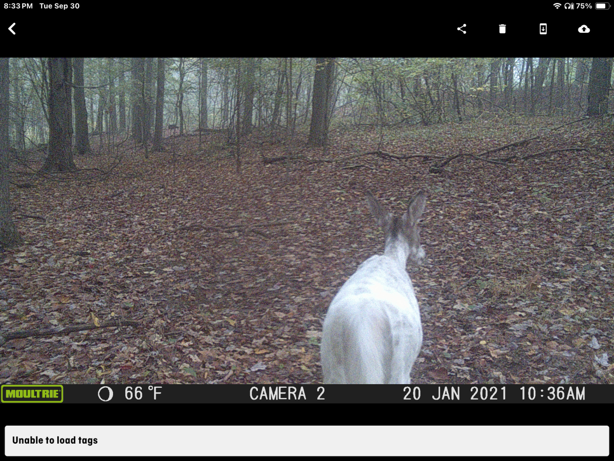 Трендове зображення  8403 lovesex737373