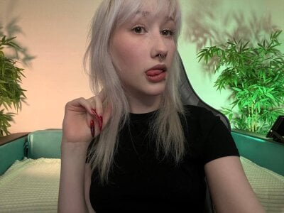 evlica Public صورة واحدة|evlica Public صورتان|evlica Public  صور|evlica Public  صورة