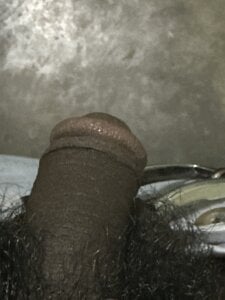 dadataher Public Gambar