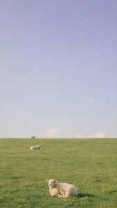 Miyeoonn Public Pic 2