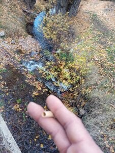 Yerayyaya Public صورة واحدة|Yerayyaya Public صورتان|Yerayyaya Public  5 صور|Yerayyaya Public  5 صورة