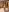 zasmin3 I'm undressing for you🤭 Pic 4