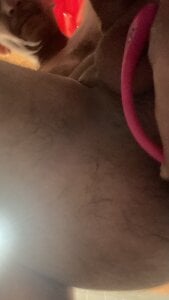 Pancho-mx Lusch en el culo Pic 3