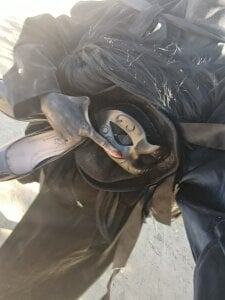 barbara_anal_squirt_ Mio Pic