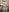 Anastasya_squirtie Cuoca semi nuda Pic 2