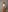 Oopsfoxy December 2021⭐️ Pic 2