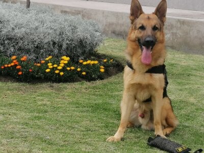 ChrisFloresP Public Pic 6