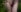 ModelBaby solitude with nature Fotografie 3