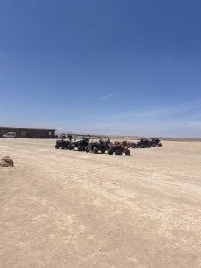 BicolorCandidate81 Public Pic 3