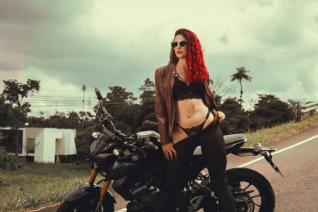 Angell_Bell The Lady and the Beast Pic 2