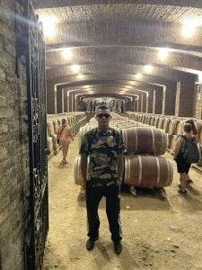 Mrjustin_sebas Exploring chili and its wines 🍷🍇  5. fénykép