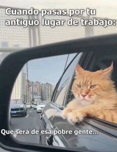 Xauencaliente Mi polla Billede