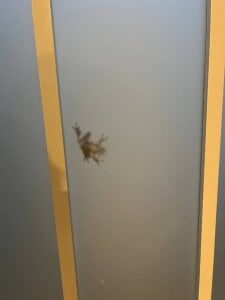 kasamolas Public Pic 3