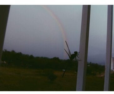 Annye01_: Favorite hobbies ( 9 фото)