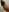 Dakota_Blare latex body Pic 9