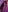 IvyJonesX PURPLE! Pic 3