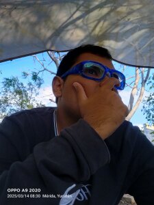 Zombiemuerto Public Pic 2