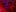 Darind_bag This red light turns us on 🥵🥵 Pic 2