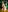 AlexandraJones_ SAN VALENTIN 2024 - NSFW Pic 3