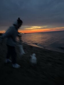 _ni_kiss life as it is зображення