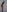 HaileyMadowPlayboy bunny照片 3