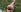 IsabelleEthan Wild and naughty in the forest 💥👀 Pic 7