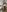 Constancia_pureOh, spinning照片 2