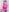 Constancia_puresummer walk照片 2