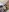 adasha_ A body like yours is something that should be valued Foto  4