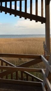 MelissaMelrey 🤍🤍 Pic