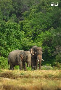 Ran-ga Public  4টি ছবি