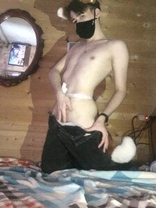 Tiny_PocketFox Public  3. fénykép