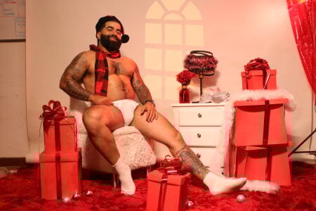 Lyon_vach Christmas leon Gambar 9