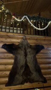 Lucy_louras Doing well Pic 9