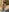sexyasscougarUp close shaven pussy, spread open, pussy from behind图片 6