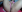 Kaissy_dollyGrr照片 8